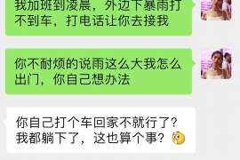 偃师调查事务所